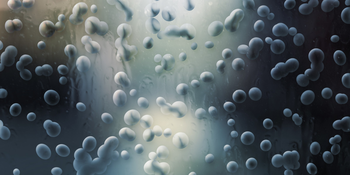 Natural Treatments For Erectile Dysfunction: A Comprehensive Guide