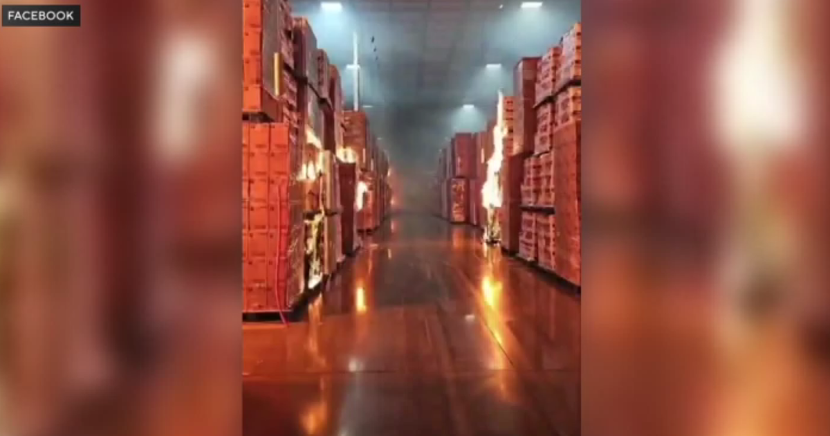 Video appears to show California Kimberly-Clark warehouse fire suspect starting blaze, saying: