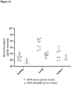 US20220275346A1 - Hantavirus antigenic composition          - Google Patents
