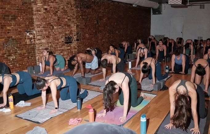 Where Can You Find the Best Hot Vinyasa NYC Classes for Every Level - Web SEO Backlink